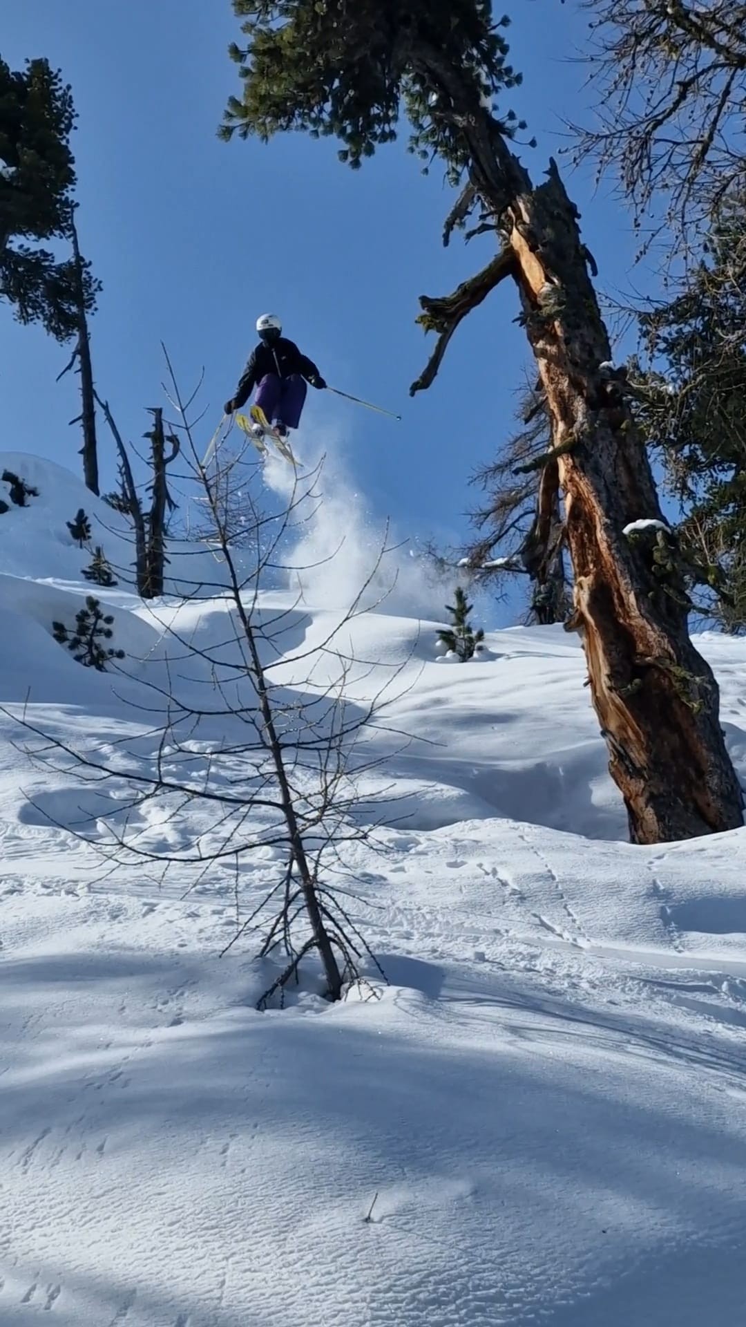 Freeride — jump entre les arbres